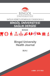 Bingöl University Journal of Health Cover image